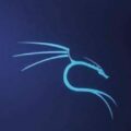 Illustration du profil de Hawk Sparrow